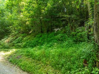 174 Old Ivey Hollow Rd, Lafollette, TN 37766