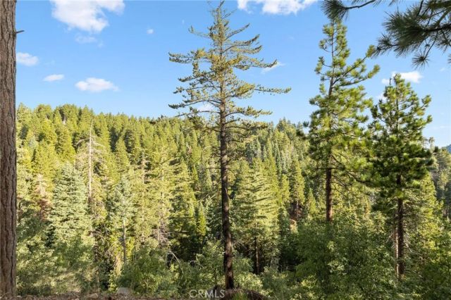 31661 Wagon Wheel, Running Springs, CA 92382