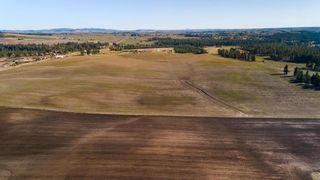 13307 E Gibbs Rd, Mica, WA 99023
