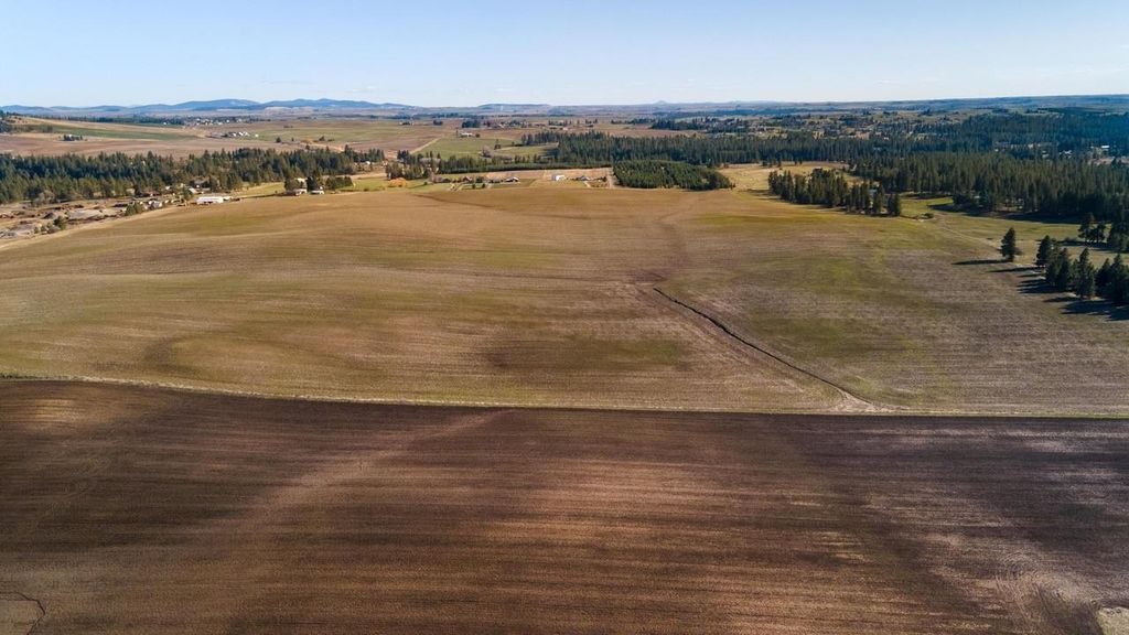 13307 E Gibbs Rd, Mica, WA 99023