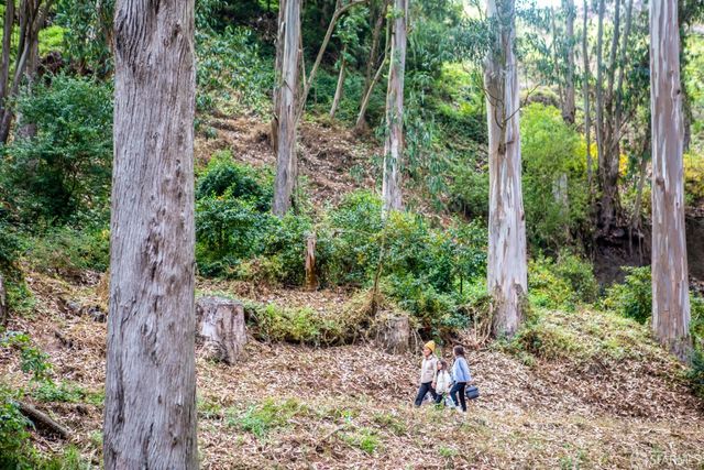 636 28th Street, San Francisco, CA 94131