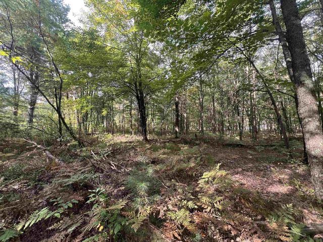 10.32 Acres Bighorn Avenue, Arkdale, WI 54613
