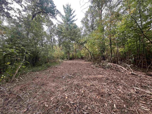 10.32 Acres Bighorn Avenue, Arkdale, WI 54613