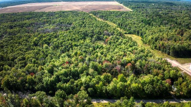 10.32 Acres Bighorn Avenue, Arkdale, WI 54613