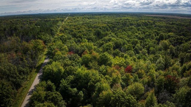 10.32 Acres Bighorn Avenue, Arkdale, WI 54613