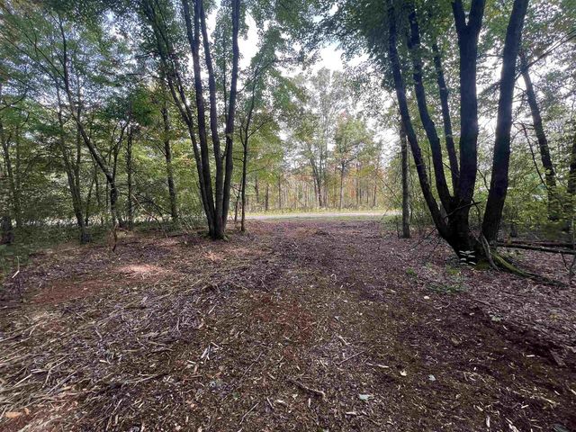 10.32 Acres Bighorn Avenue, Arkdale, WI 54613