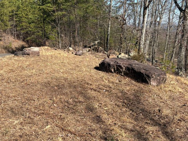 935 Bluff Ledge Trail, Hixson, TN 37343