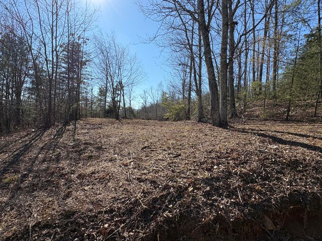 935 Bluff Ledge Trail, Hixson, TN 37343