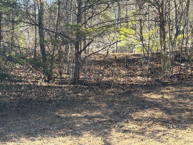 935 Bluff Ledge Trail, Hixson, TN 37343