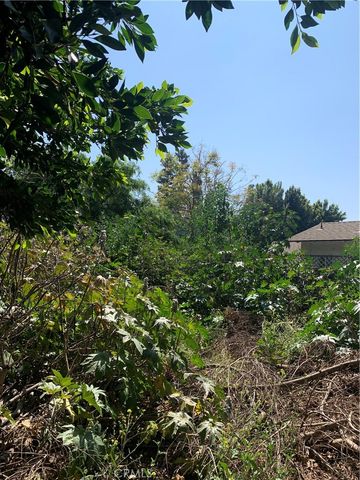 5172 Lakeview Ave, Yorba Linda, CA 92886