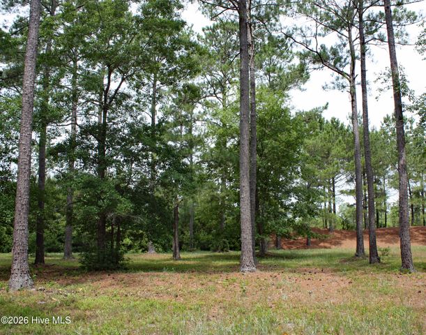761 Highgate Place SW, Ocean Isle Beach, NC 28469