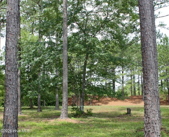 761 Highgate Place SW, Ocean Isle Beach, NC 28469