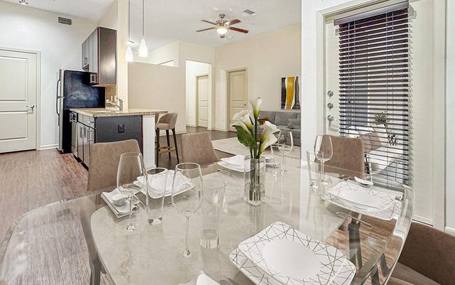 206 Mcgowen Street 2202, Houston, TX 77006