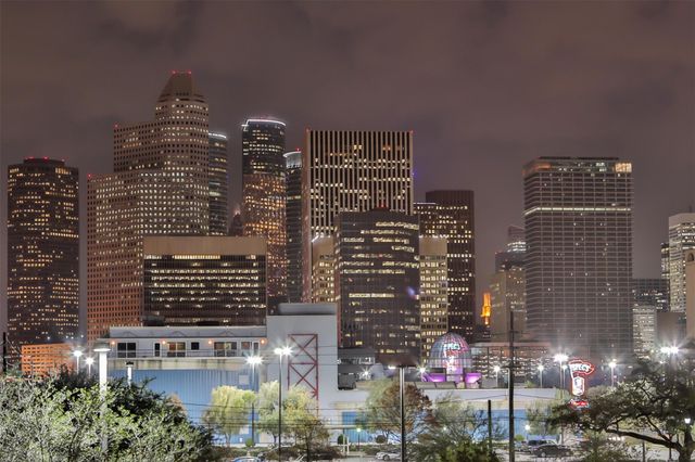 206 Mcgowen Street 2202, Houston, TX 77006