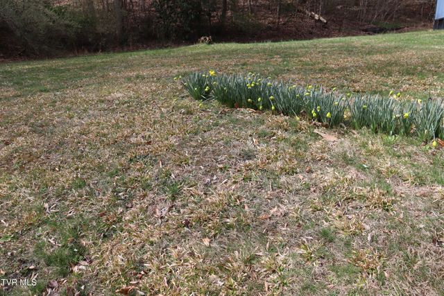 111 Cold Springs Drive, Appalachia, VA 24216