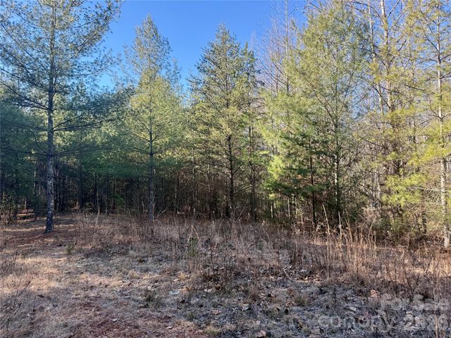 2095 Hitching Post Trail G45, Lenoir, NC 28645