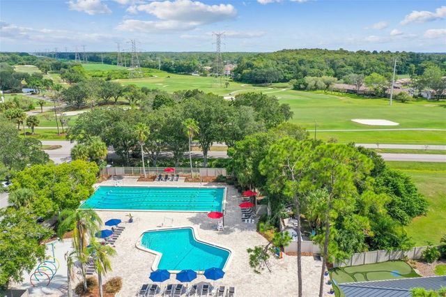 208 PALMETTO CT 208, Oldsmar, FL 34677