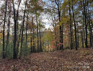 692 Blue Mist Way 205R, Arden, NC 28704