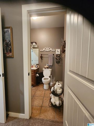 46 HIGHLAND VIEW LANE, Lincoln, AL 35096