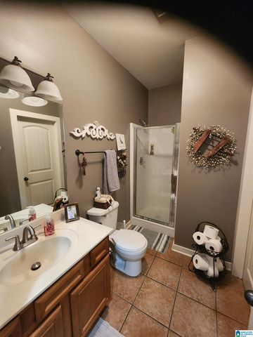 46 HIGHLAND VIEW LANE, Lincoln, AL 35096