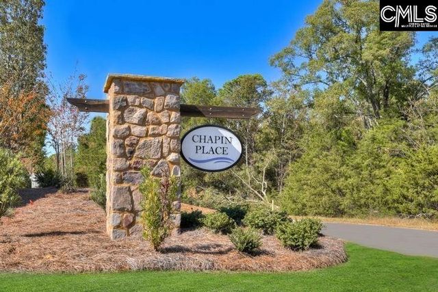 720 Feldspar Court, Chapin, SC 29036