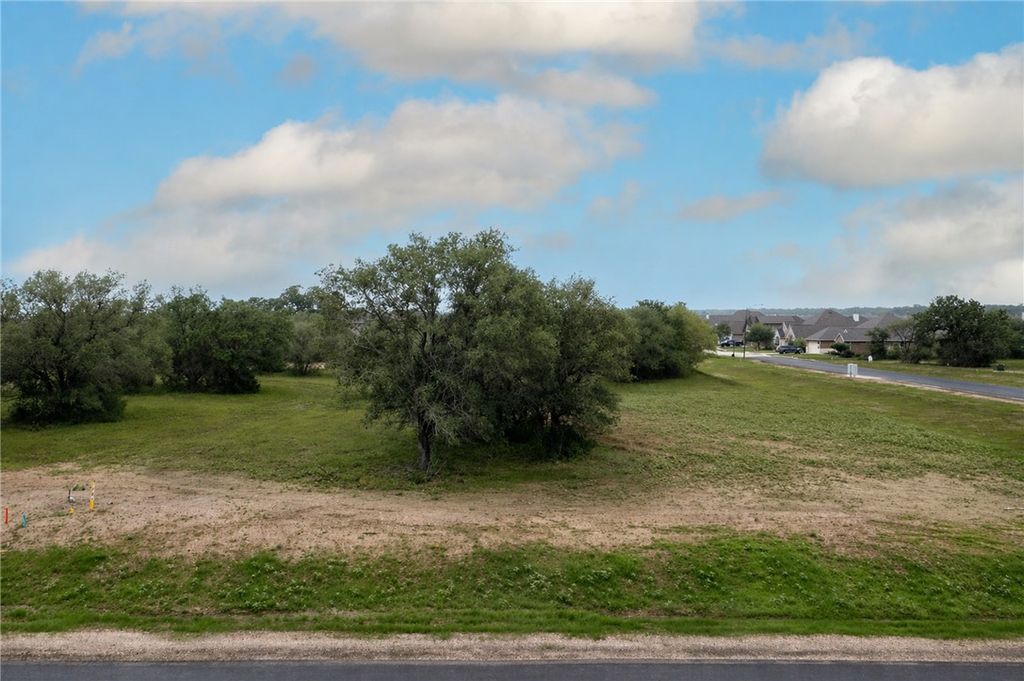 4200 Smalls Creek Road, College Station, TX 77845 — photo 5