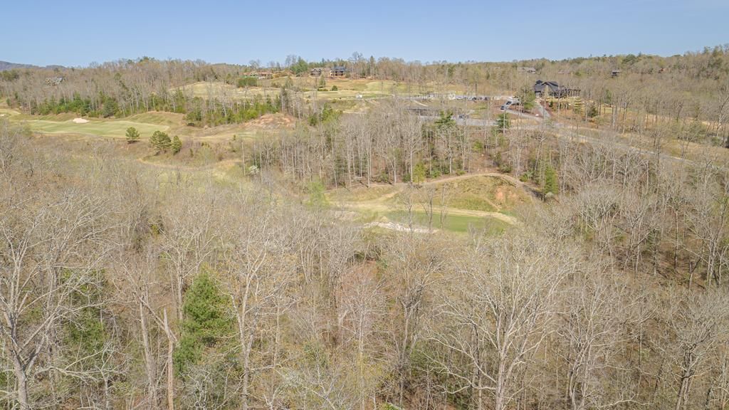 153 Hickory Way, Mineral Bluff, GA 30559