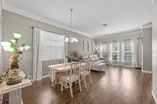 11052 ANCIENT FUTURES DRIVE, Tampa, FL 33647