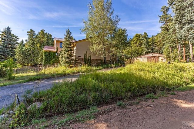 8262 William Dr., Rye, CO 81069