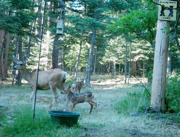 8262 William Dr., Rye, CO 81069