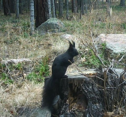 8262 William Dr., Rye, CO 81069