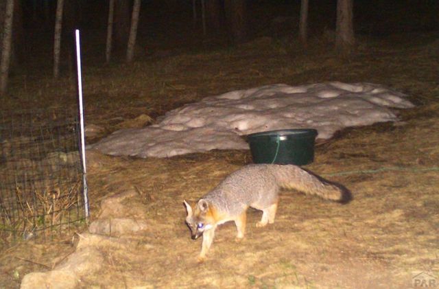 8262 William Dr., Rye, CO 81069