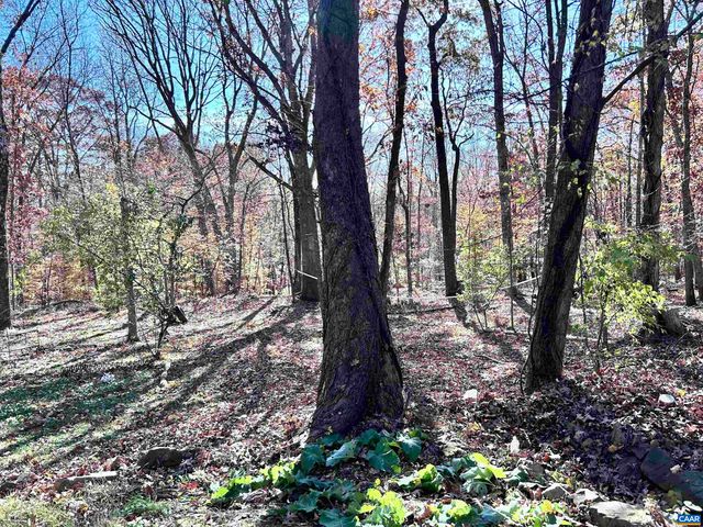 2003 SWEET HOLLOW LN, Charlottesville, VA 22903