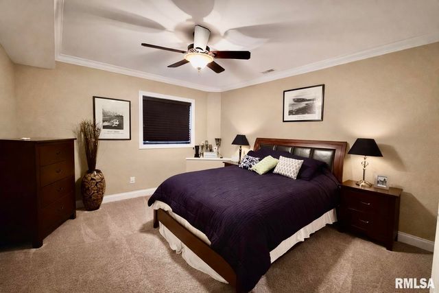3511 W Upper Creek Court, Dunlap, IL 61525