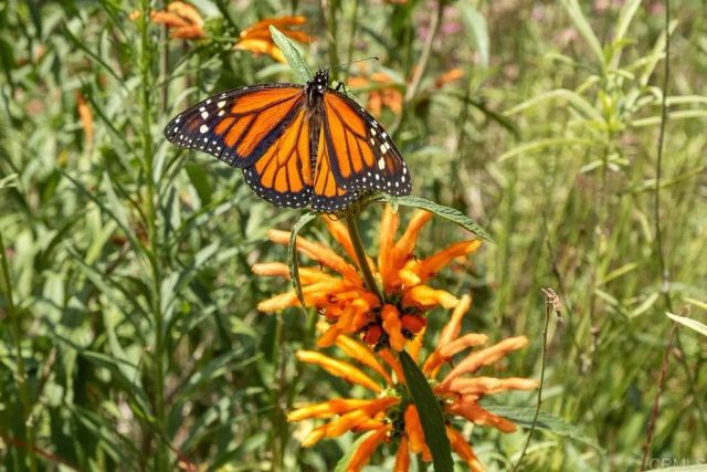 4169 Rhodes Way, Oceanside, CA 92056