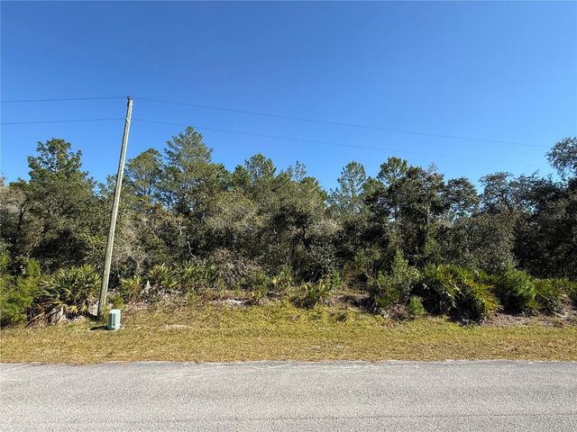 LIGUSTRUM STREET, Eustis, FL 32736