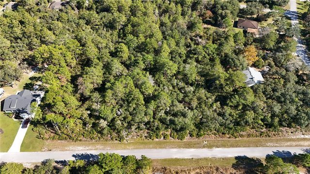 LIGUSTRUM STREET, Eustis, FL 32736