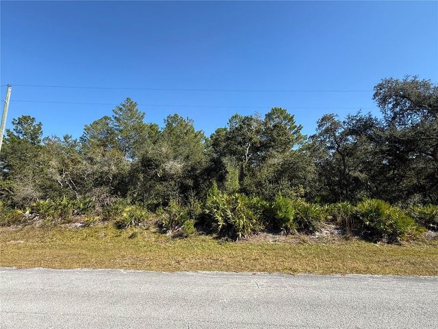 LIGUSTRUM STREET, Eustis, FL 32736