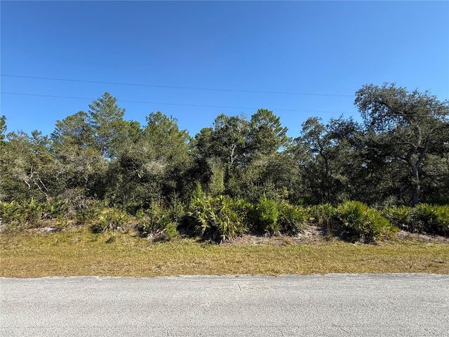 LIGUSTRUM STREET, Eustis, FL 32736