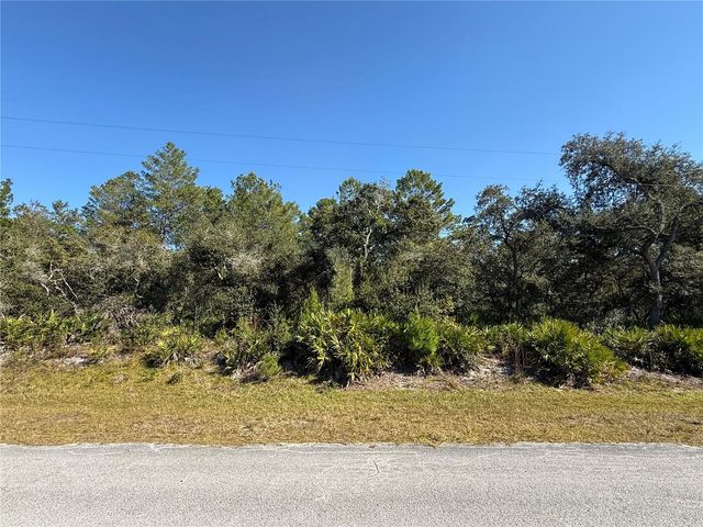 LIGUSTRUM STREET, Eustis, FL 32736