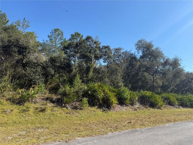 LIGUSTRUM STREET, Eustis, FL 32736