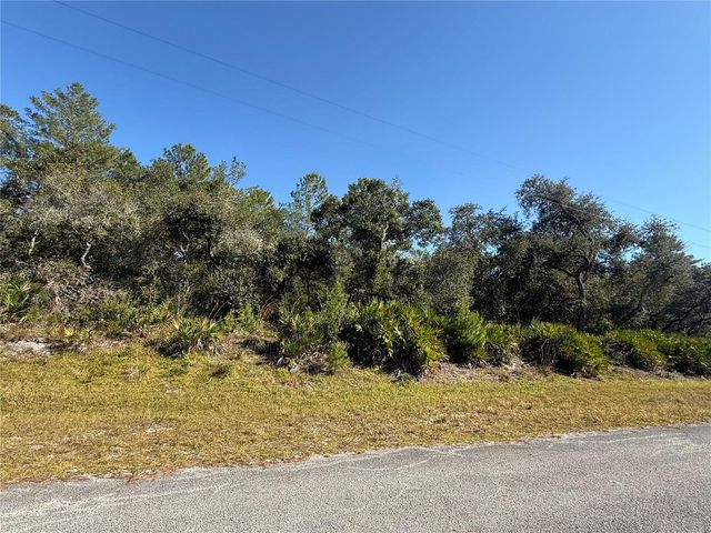 LIGUSTRUM STREET, Eustis, FL 32736