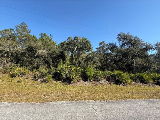 LIGUSTRUM STREET, Eustis, FL 32736