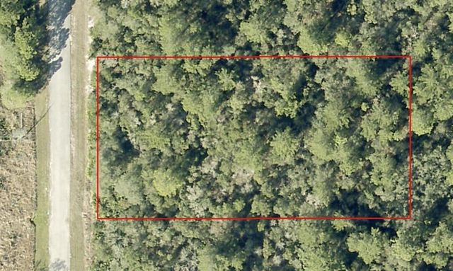 LIGUSTRUM STREET, Eustis, FL 32736