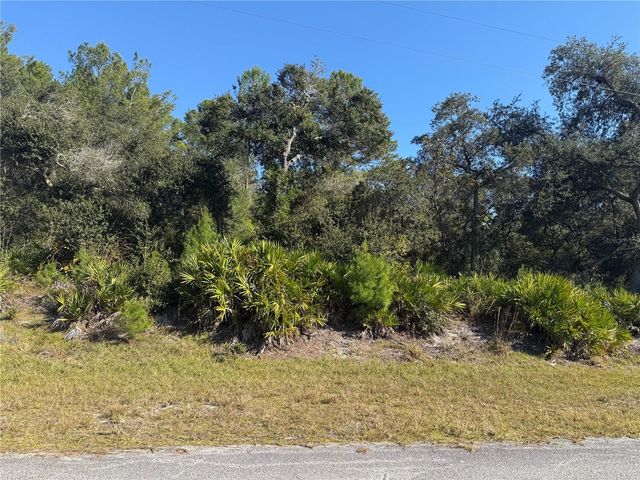 LIGUSTRUM STREET, Eustis, FL 32736