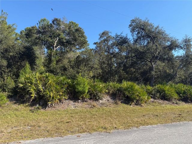 LIGUSTRUM STREET, Eustis, FL 32736