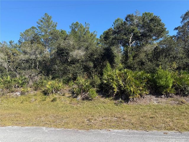 LIGUSTRUM STREET, Eustis, FL 32736