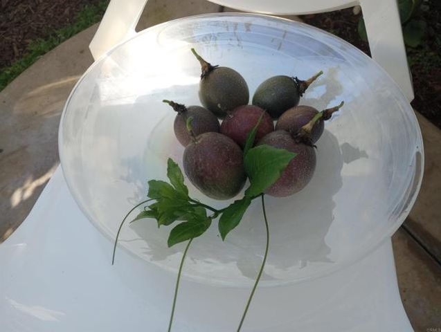 5544 Mill Creek Road, San Diego, CA 92130