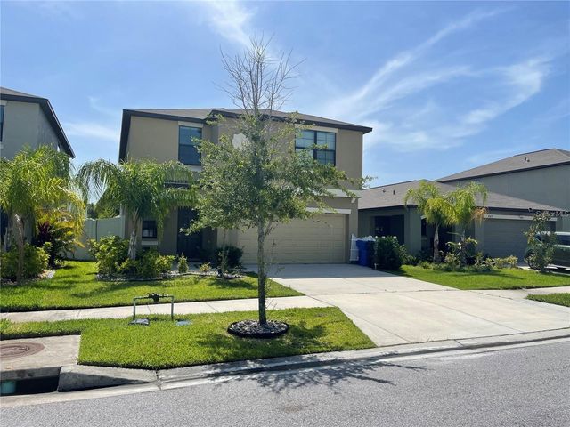 4329 GLOBE THISTLE DRIVE, Tampa, FL 33619