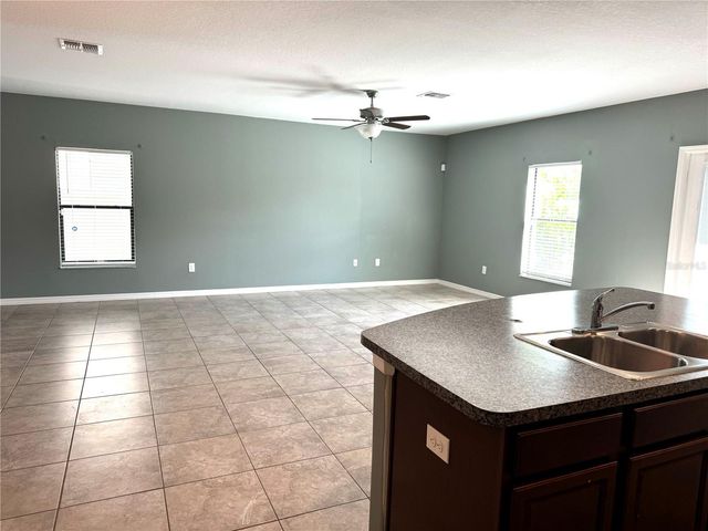 4329 GLOBE THISTLE DRIVE, Tampa, FL 33619